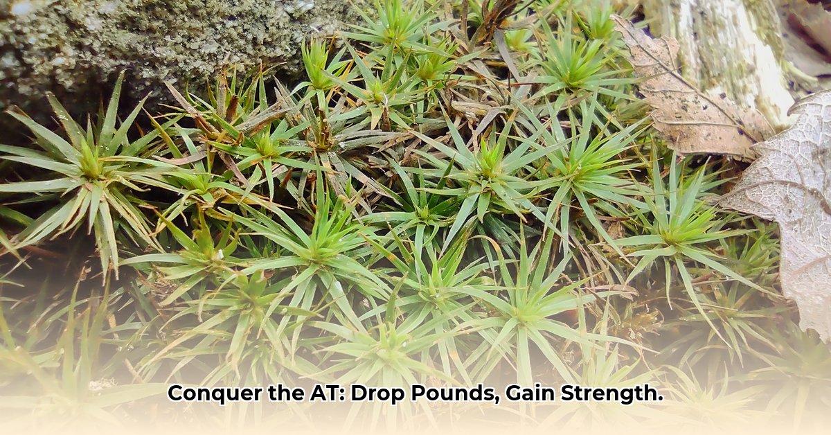 appalachian-trail-weight-loss